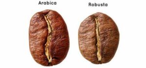 Robusta Arabica çekirdekleri