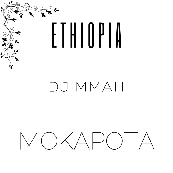 Alternative view of Ethiopia Djimmah