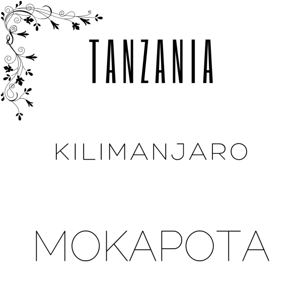 Alternative view of Tanzania Kilimanjaro