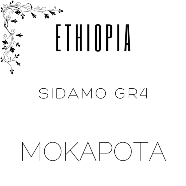 Alternative view of Ethiopia Sidamo Gr4