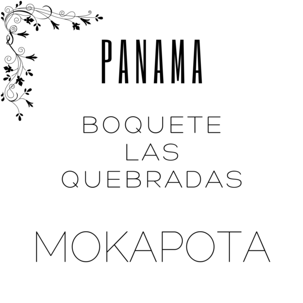 Alternative view of Panama Boquete Las Quebradas