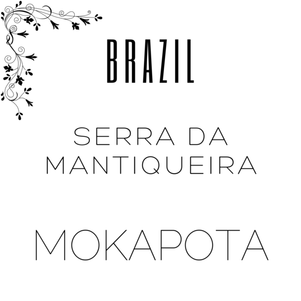 Alternative view of Brazil Serra Da Mantiqueira