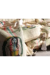 Colombia Women HarBEST