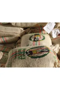 Colombia Women HarBEST