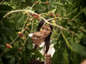 Colombia Women HarBEST