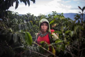 Colombia Women HarBEST