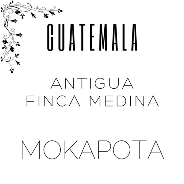 Alternative view of Guatemala Antigua Finca Medina