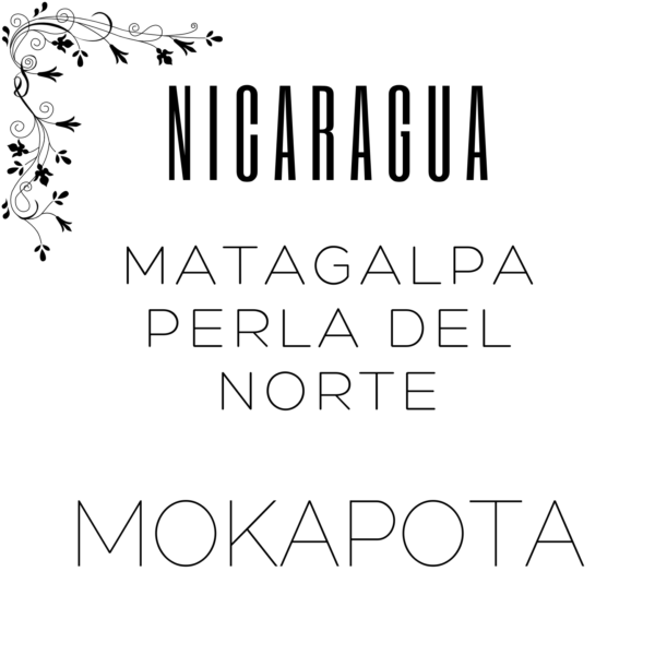 Alternative view of Nicaragua Matagalpa Perla Del Norte