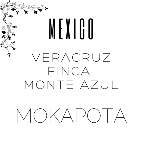 Alternative view of Mexico Veracruz Finca Monte Azul