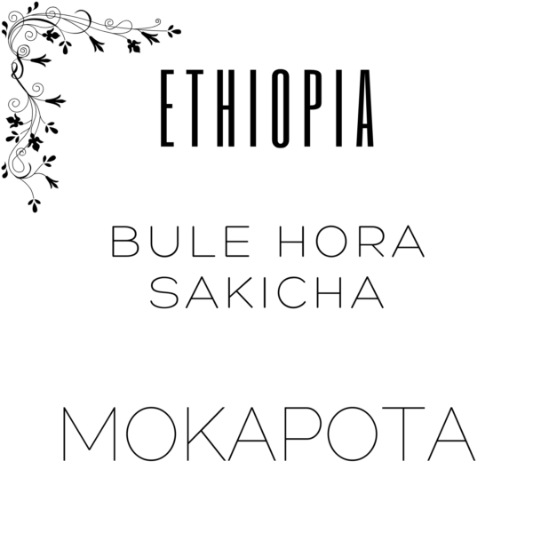 Alternative view of Ethiopia Bule Hora Sakicha