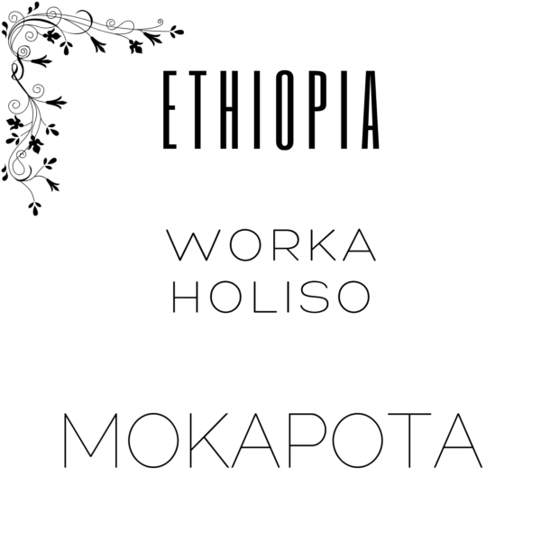 Alternative view of Ethiopia Worka Holiso